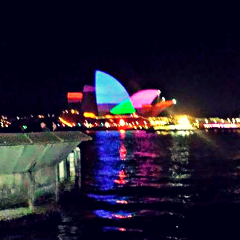 Study abroad Sydney opera house lit up for Vivid Sydney
