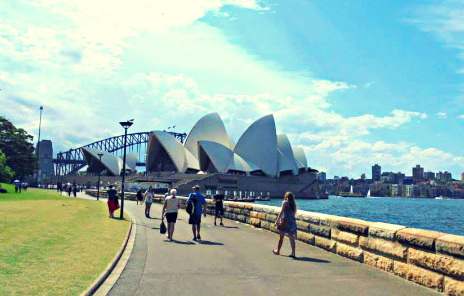 A view of the Sydney opera house and Sydney harbour bridge taken from inside the botanical gardens