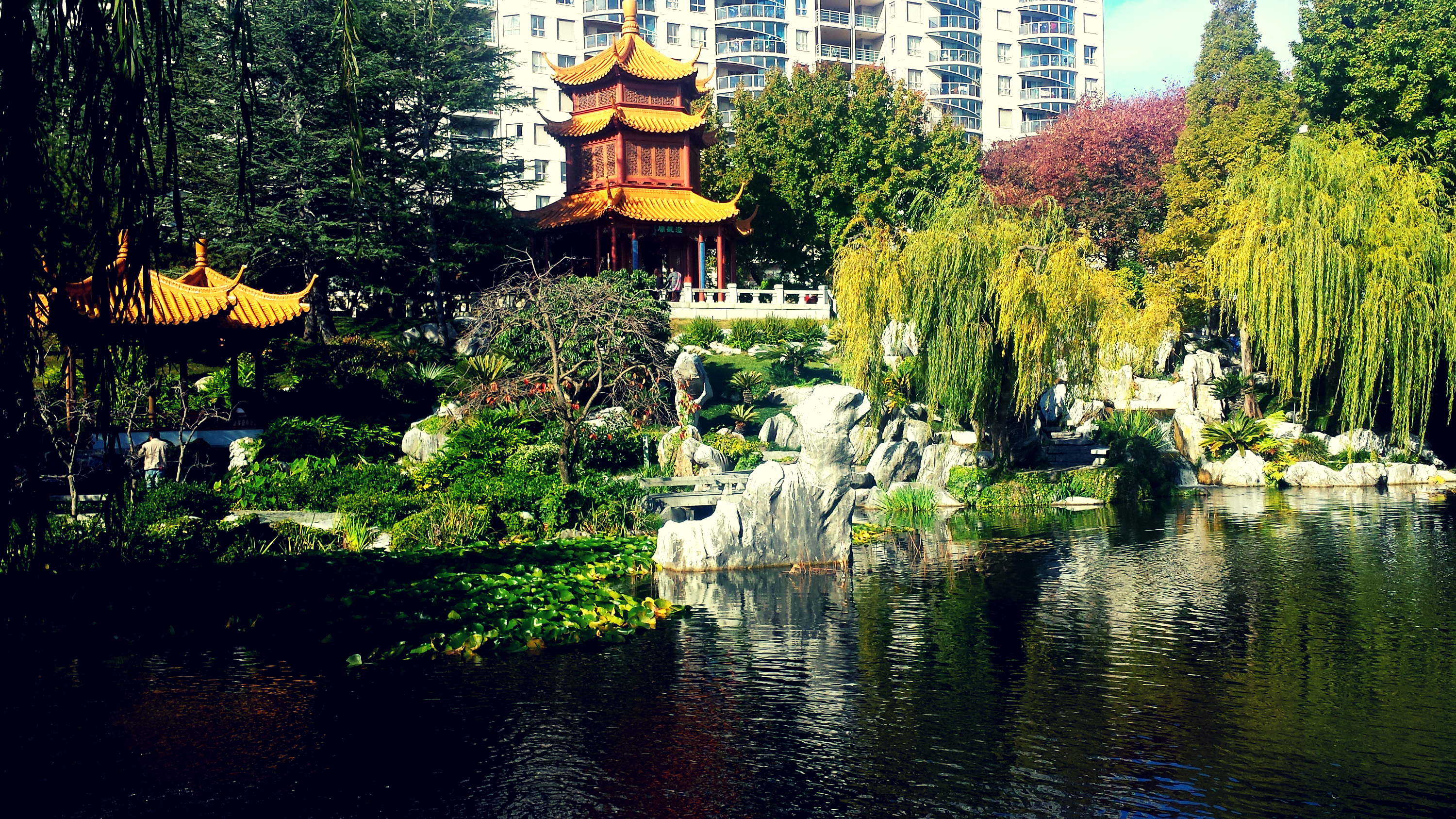 A large lake is in the front of the picture and behind this is various oriental plants, rocks and decorative features. On top of a hill stands a red and gold Chinese pagoda