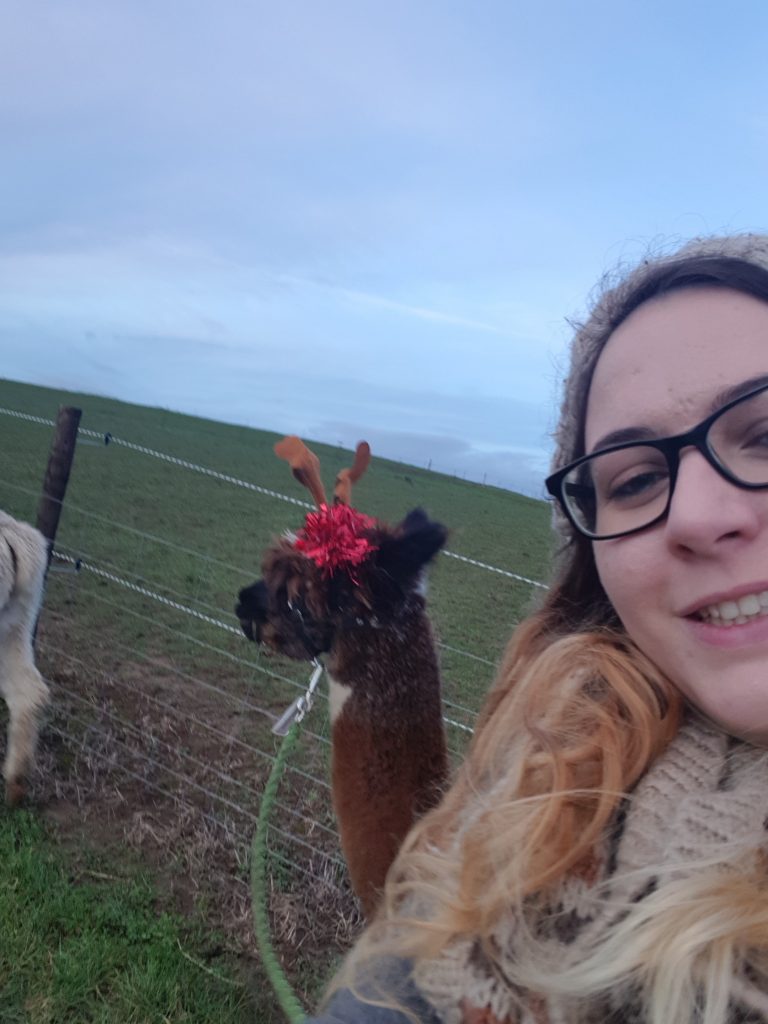 A selfie of a girl with an alpaca wearing reindeer antlers at Charnwood Forest Alpacas