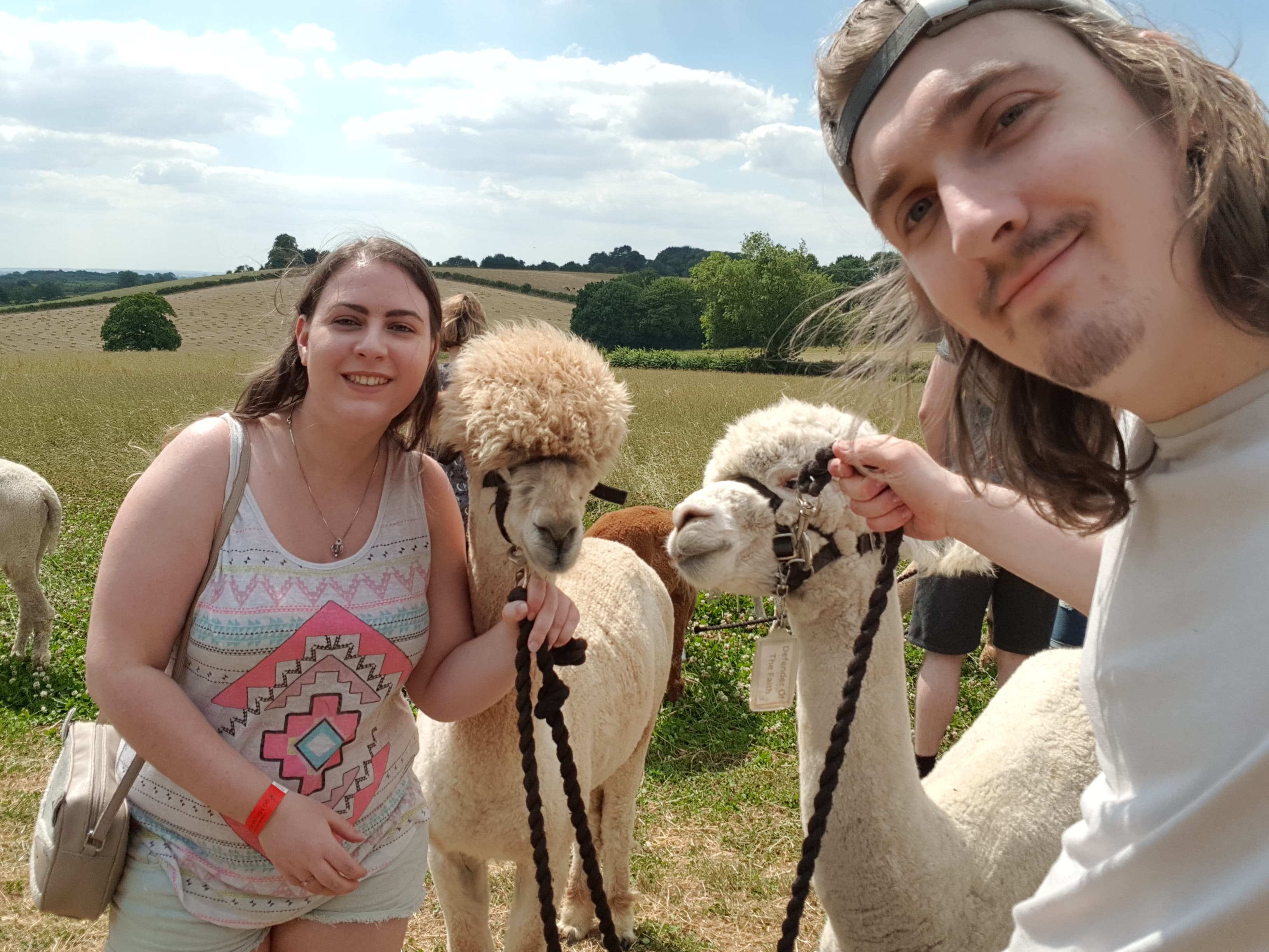 A girl and guy holding two alpacas by ropes under their chins to take a selfie with them
