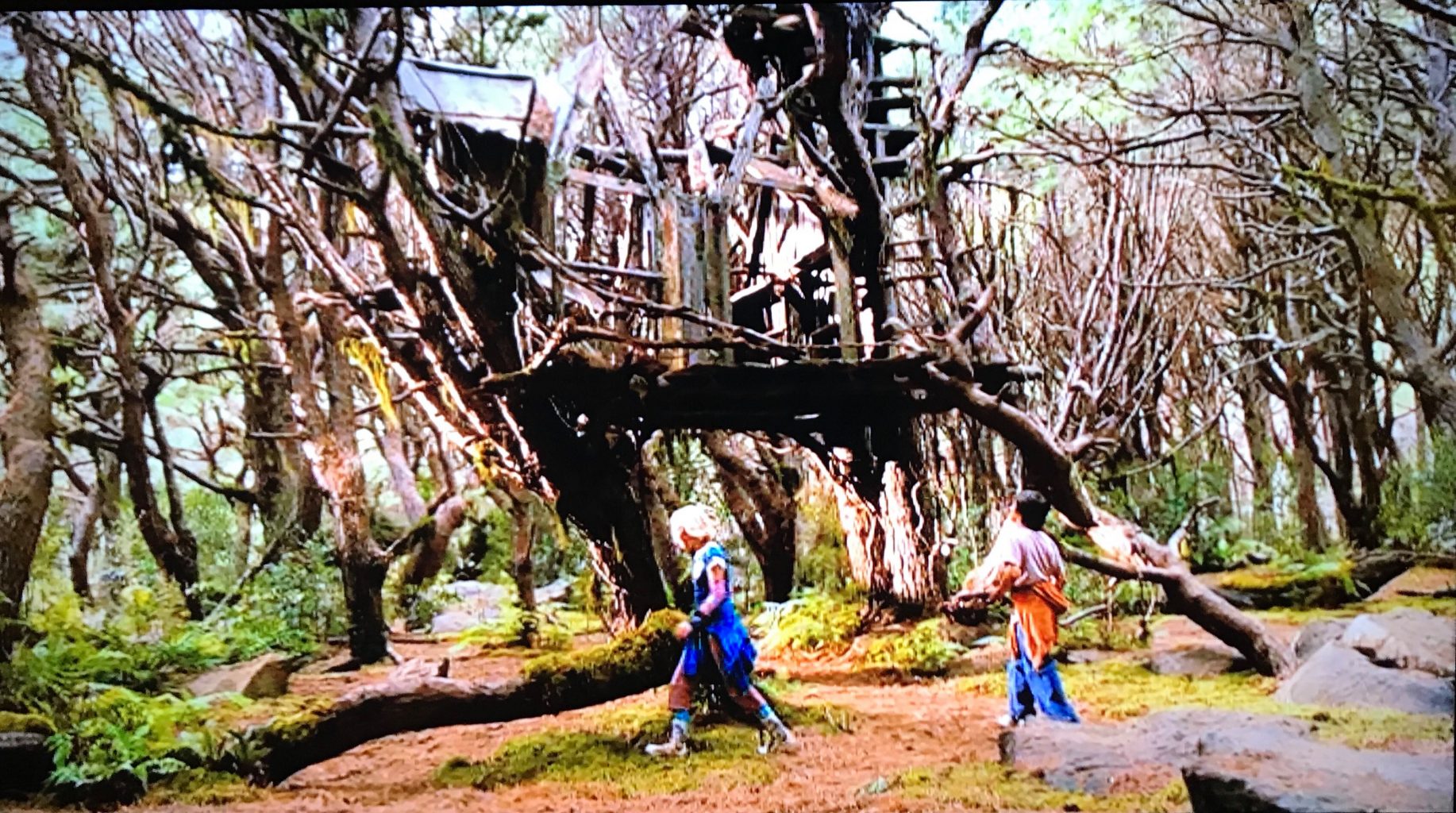 A scene from Bridge to Terabithia where a girl and guy walk in a forest in front of a large wooden treehouse