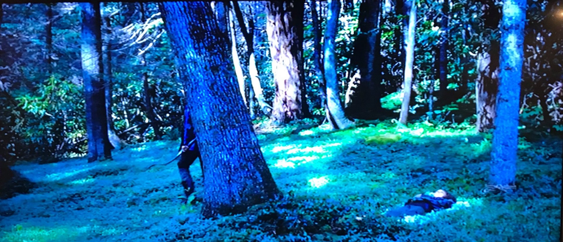 A scene from the Hunger Games where Katniss peers out from behind a tree in a green forest
