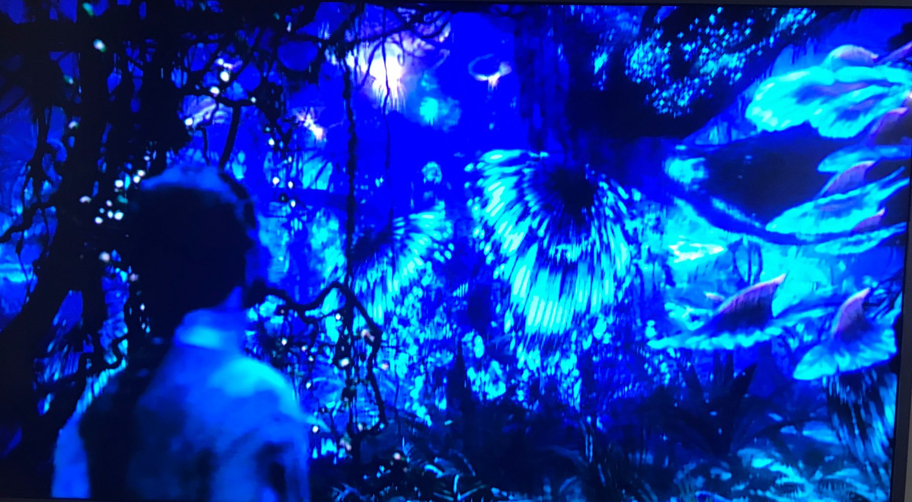 A scene from Avatar where a Na'vi, the blue alien race from the planet Pandora, looks out in a jungle scene full of plants and winged creatures