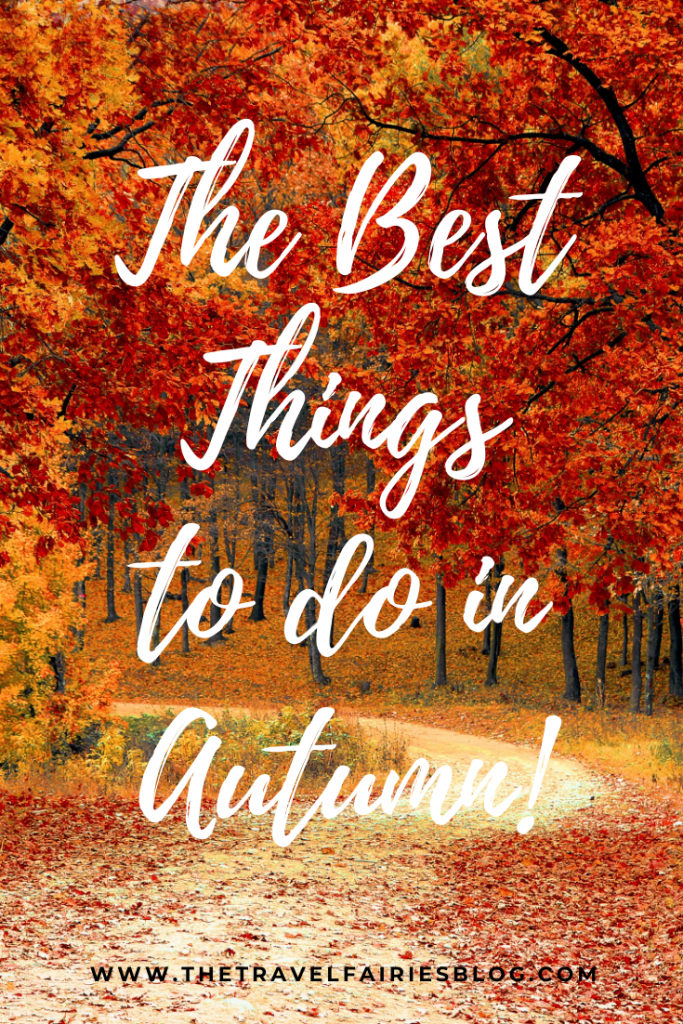 Fall Bucket list | The best things to do in Autumn | Autumn ideas whether you're at home or traveling | Fall Bucketlist ideas for families, kids, couples or friends | Things to do in Autumn in the UK, USA, Europe or Australia #autumn #fall #fallbucketlist #bucketlistideas #indooractivites #outdooractivites #fallseason #falltravel