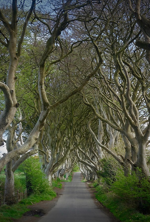 Countries in need: The Kings Road from Game of Thrones in Ireland